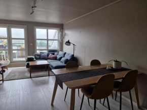 Balkong med utsikt og gratis parkering i garasje Oslo